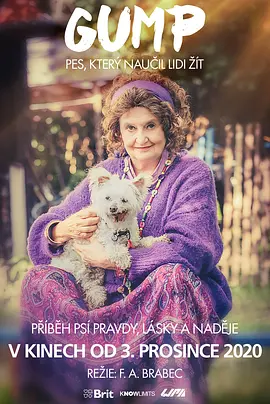 流浪狗阿甘(2021)