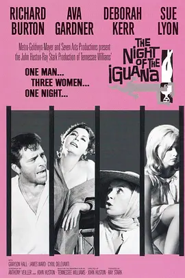 巫山风雨夜(1964)