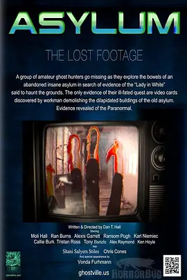 恐怖疯人院(2013)