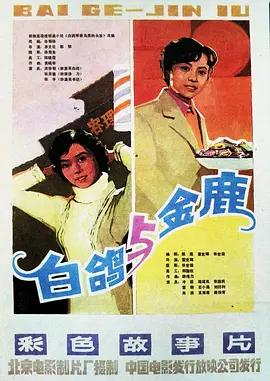 白鸽(1982)