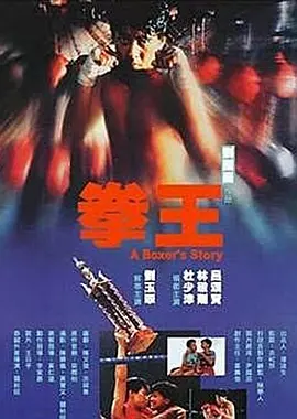 拳王(1991)