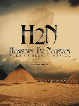 从希伯来人到黑人：唤醒美国黑人(2018)