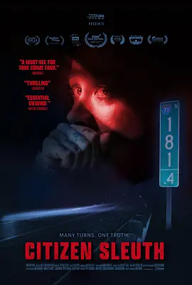 公民侦探(2023)