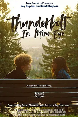 我眼中的电闪雷鸣(2020)