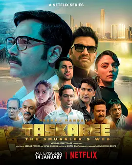 海关英雄：走私暗战(2026)