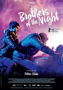 夜色兄弟(2016)