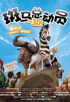 斑马总动员(2013)