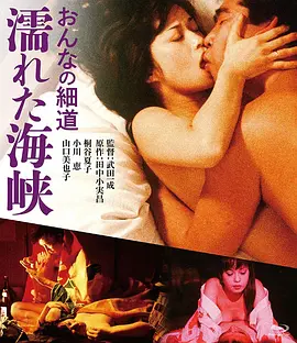 女人的小道：濡湿海峡(1980)