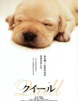 导盲犬小Q(2004)