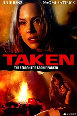 Taken: The Search for Sophie Parker(2013)