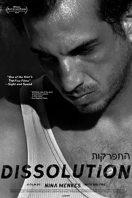 溶解(2010)