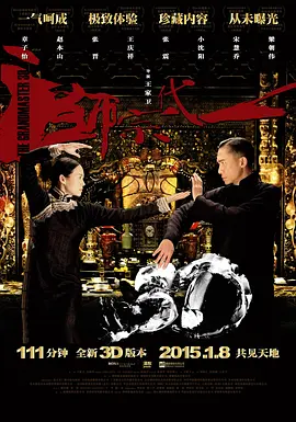 一代宗师(2013)