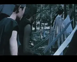 大破白莲教(1939)