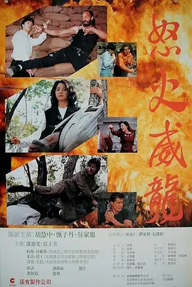 怒火威龙(1992)