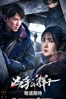 凶手的样子(2024)