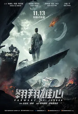 翱翔雄心(2018)