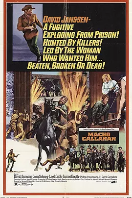 游龙火凤霹雳枪(1970)