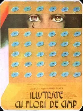 野花明信片(1974)