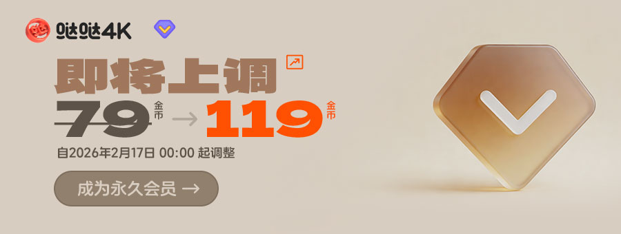 升级永久VIP会员