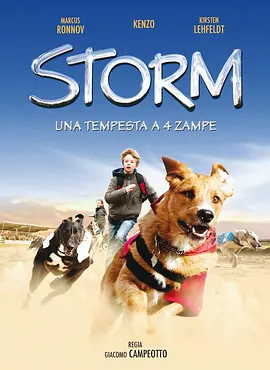 暴风犬(2009)