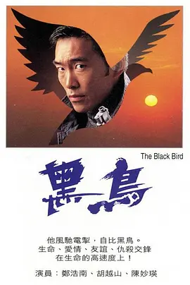 黑鸟(1995)