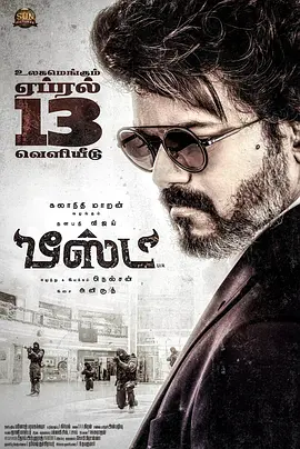 野兽派特工(2022)