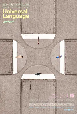 共同的语言(2024)