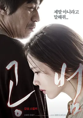 共犯(2013)