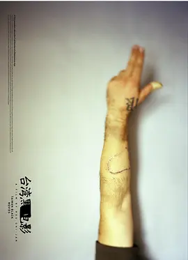 台湾黑电影(2005)