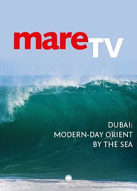 海平线上的迪拜(2017)