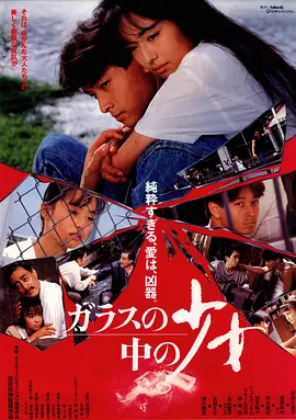 镜子中的少女(1988)