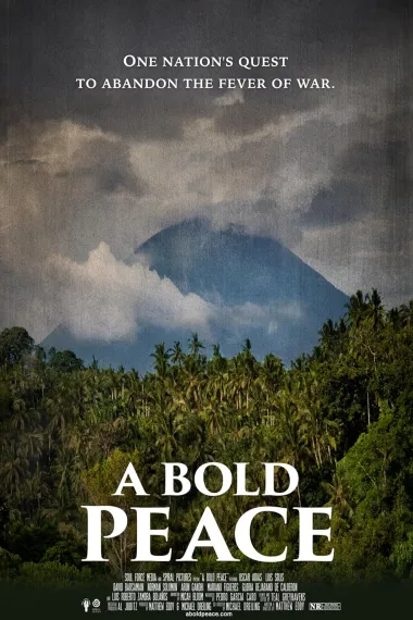 A Bold Peace(2016)