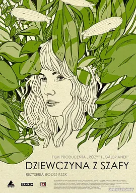 衣橱里的女孩(2013)