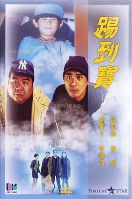 踢到宝(1992)