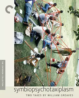 共生心理分类学：第二又二分之一章(2006)