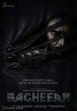 巴希拉：正义执行(2024)