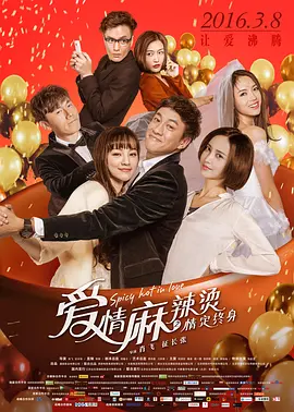 爱情麻辣烫之情定终身(2016)