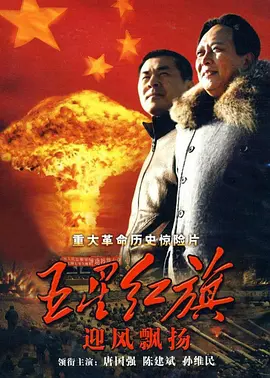 五星红旗迎风飘扬(2011)