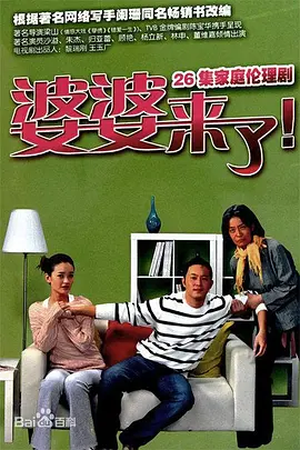婆婆来了(2011)