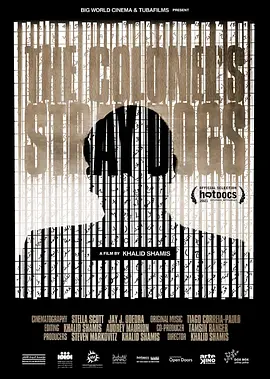 上校的流浪狗(2021)