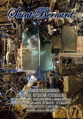 圣伯纳(2013)