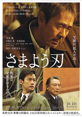 彷徨之刃(2009)