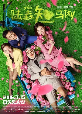 陆垚知马俐(2016)