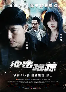 绝密跟踪(2013)