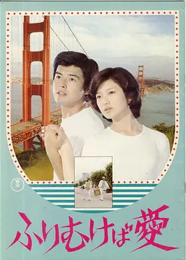 鸢之恋(1978)