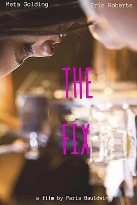 The Fix(2015)
