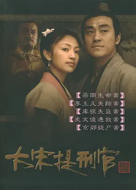 大宋提刑官(2005)