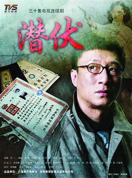 潜伏(2009)