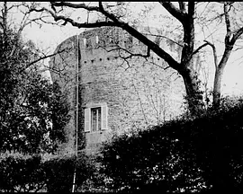 仅为远古循环(2012)