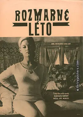 反复无常的夏天(1968)